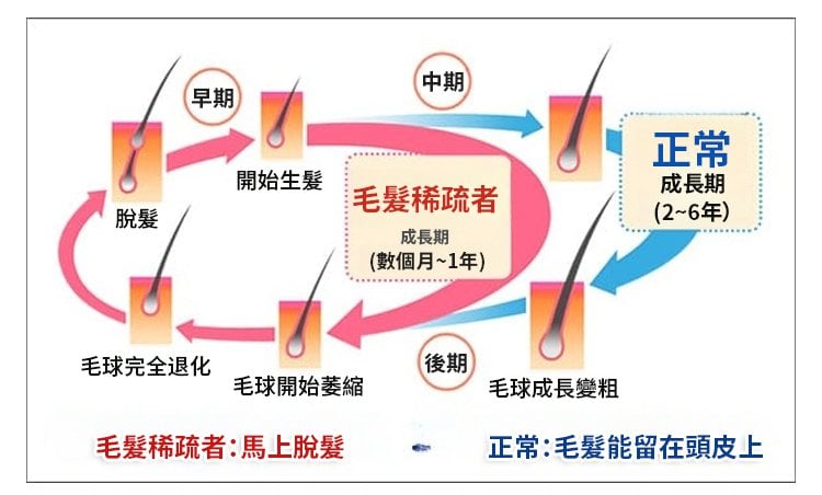 白黑客防脫育髮液 防脫育髮洗髮露