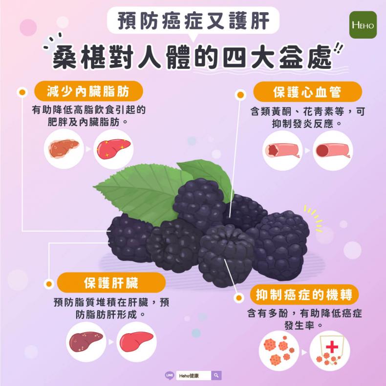 酵素桑葚仙楂條