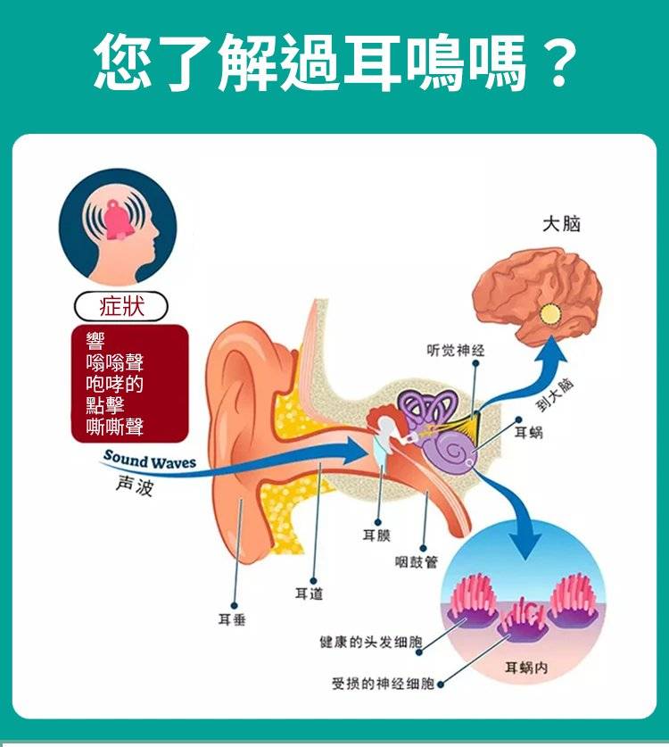 香港草本耳康王