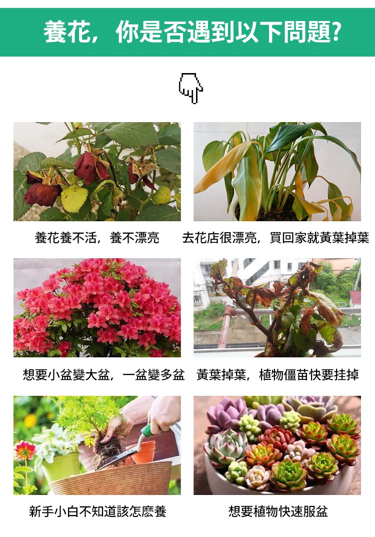 植物生長活力素