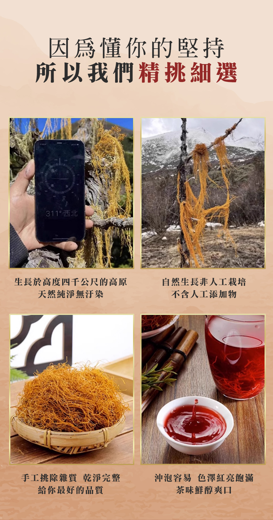 金絲紅雪茶，每天一杯，帮助降低血脂、膽固醇、軟化血管